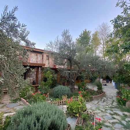 Pavelin Yeri Otel Αδραμύττιο Εξωτερικό φωτογραφία